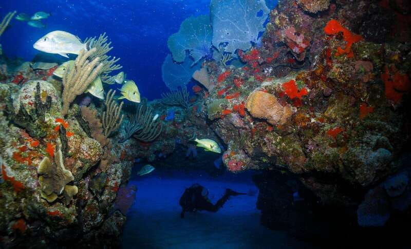 Costa Maya: Two Tank Fun Dive for Certified Divers - Practical Tips That Make This Trip Feel Smooth