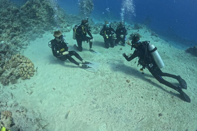 Course for Padi OW in Red Sea and Sinai - Key things to know before you go