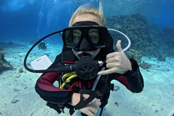Course for Padi OW in Red Sea and Sinai - 8:00 a.m. Pickup in Hurghada and a Tight Daily Rhythm