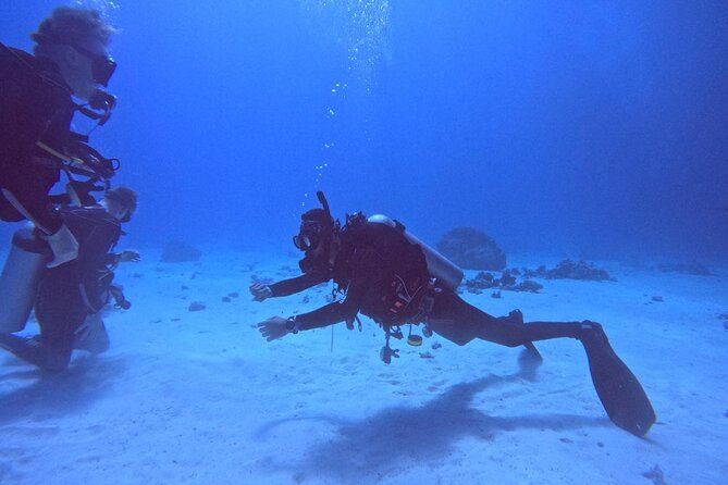 Course for Padi OW in Red Sea and Sinai - Underwater Sessions in the Red Sea Region: Fish, Clean Water, and Calm Guidance