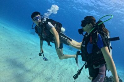 Course for Padi OW in Red Sea and Sinai - How the PADI OW Course Works: Theory, Gear, and Real Safety Habits