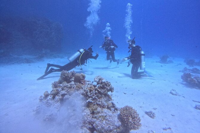 Course for Padi OW in Red Sea and Sinai - Safety and Instructor Support: What “Professional” Means in Practice