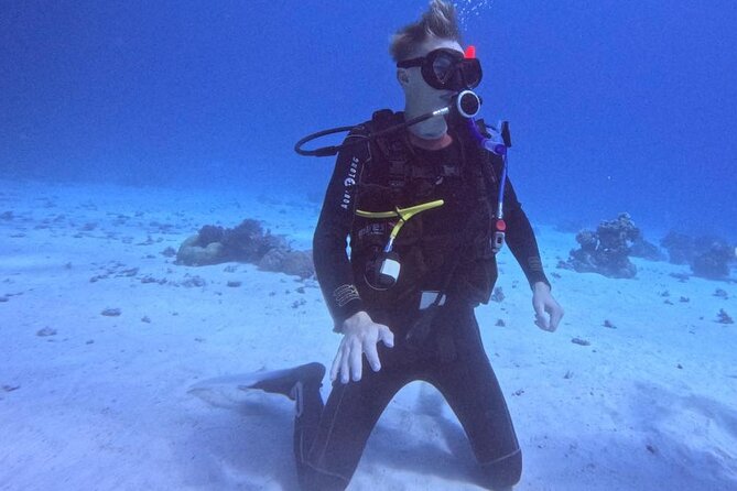 Course for Padi OW in Red Sea and Sinai - Price and Value: Is $450 Fair for an OW Course?