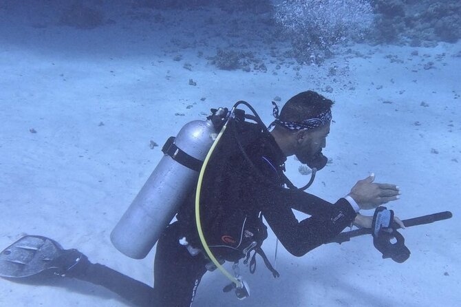 Course for Padi OW in Red Sea and Sinai - Who This OW Course Fits Best (and Who Should Recheck the Setup)