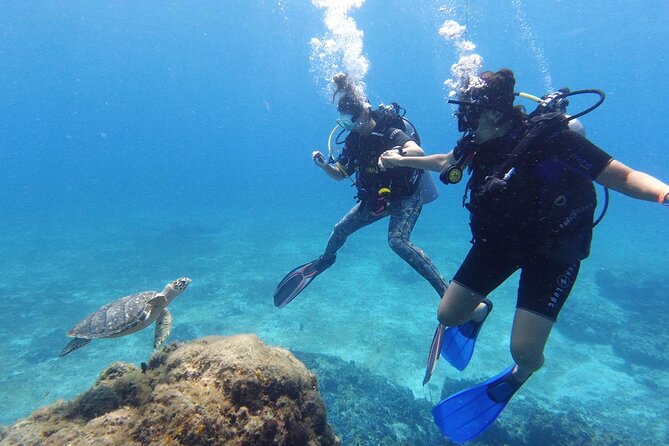Cozumel: Discover Scuba Diving - The 5-Hour Flow: Marina Check-In to Underwater Sessions