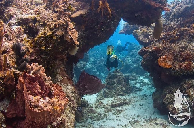 Cozumel: Discover Scuba Diving - Instruction That Feels Clear, Not Random