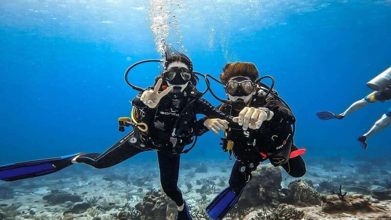 Cozumel: Discover Scuba Diving for Non-Certified Divers - The Reef Experience Around 35 Feet and the Chance for Paradise Reef