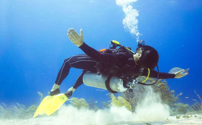 Cozumel: One Tank Scuba Dive and Full Chankanaab Park Access - Key Points If You Want the Best Version of This Day