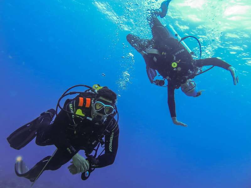 Cozumel: One Tank Scuba Dive and Full Chankanaab Park Access - Who This One-Tank Scuba + Chankanaab Day Fits Best