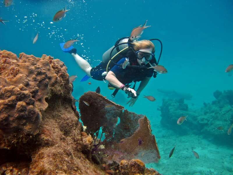 Cozumel: One Tank Scuba Dive and Full Chankanaab Park Access - Meeting MJ’s Dive Shop at the Park (and What to Do First)