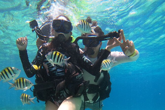 Cozumel Scuba Dive at Chankanaab - Guides, Safety, and the Value of Staying in a Small Group