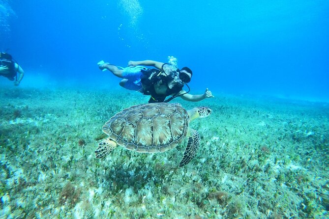 Cozumel Scuba Dive at Chankanaab - Price and Value: $85 Plus the Marine Park Fee