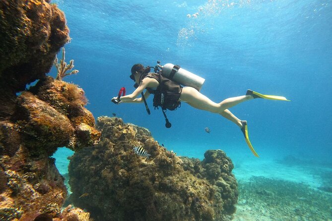 Cozumel Scuba Dive at Chankanaab - Stop 1: Chankanaab Adventure Beach Park and Your Ground Prep