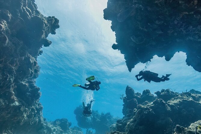 Cozumel underwater 2 Tank Dive by boat - Reef time in Cozumel’s Parque Nacional Arrecifes de Cozumel