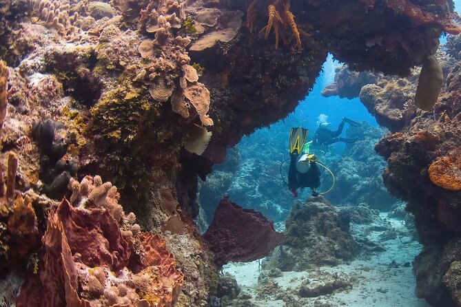 Cozumel underwater 2 Tank Dive by boat - Getting kitted up fast: wetsuits, fins, and the gear try-on