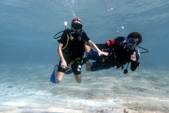 Cozumel underwater 2 Tank Dive by boat - The 5-hour rhythm: two tanks, one lunch break, real breathing room