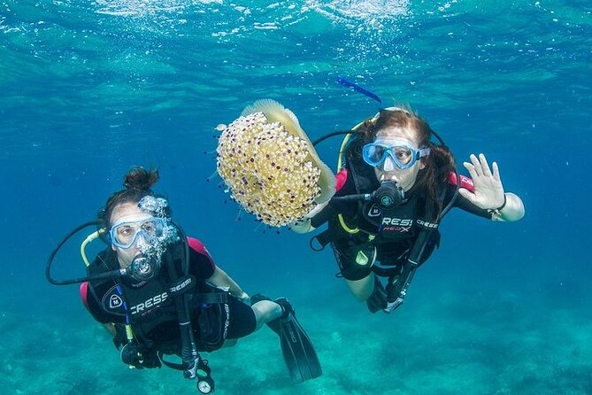 Crete-Chania: Snorkeling & Scuba Dive for Beginners by Boat - Key things that make this Chania boat trip worth it