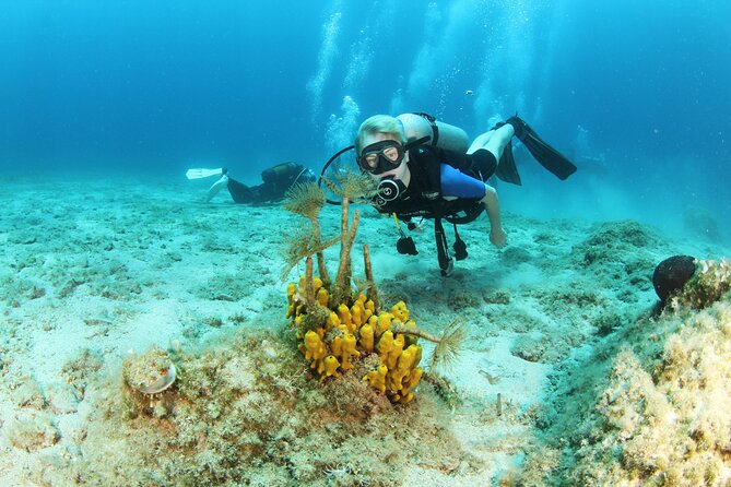 Crete-Chania: Snorkeling & Scuba Dive for Beginners by Boat - Getting to Archoleon 1 and onto the boat without stress