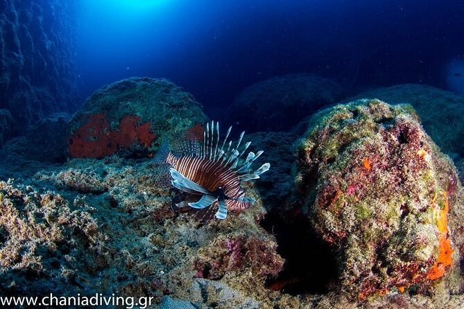 Crete-Chania: Snorkeling & Scuba Dive for Beginners by Boat - Open-water scuba session to 9–10 meters: beginner-friendly structure