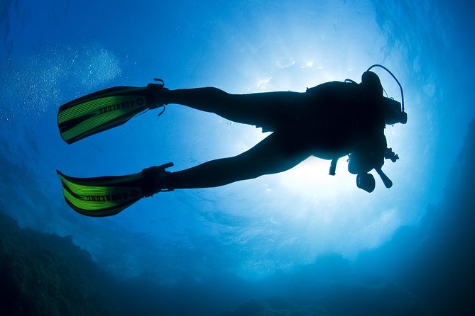 Crete Introductory Scuba Diving Experience - Price, Value, and Timing Around Pickup Areas