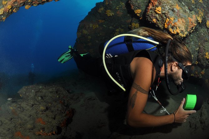 Crete Introductory Scuba Diving Experience - Weather, Conditions, and Who Should Join