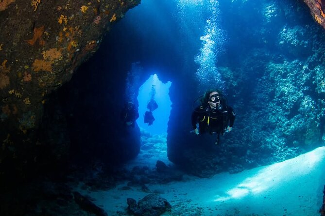 Crete: Scuba Diving for Certified Divers in Chania - Key things that make this Chania scuba trip worth your time