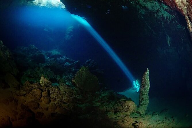 Crete: Scuba Diving for Certified Divers in Chania - Certified-only format: what it does for your comfort and safety