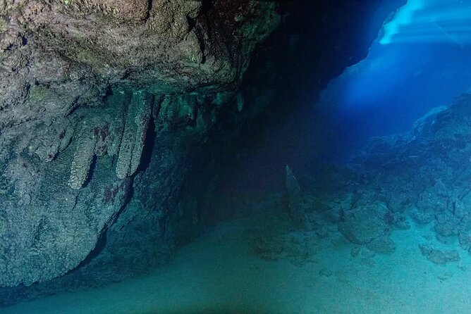 Crete: Scuba Diving for Certified Divers in Chania - Guides that keep it smooth: what Giannoulakis Nikolaos brings to the day