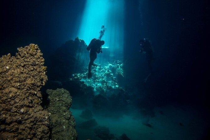 Crete: Scuba Diving for Certified Divers in Chania - Price and value: is $168.58 worth it