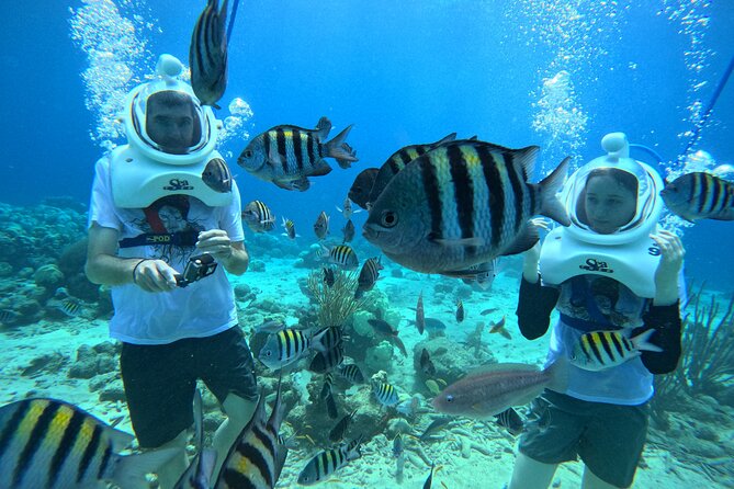 Curacao Helmet Diving-Walk the Ocean Floor, No Swimming Required - How the Helmet Walk Works in Curçao’s Shallow Water