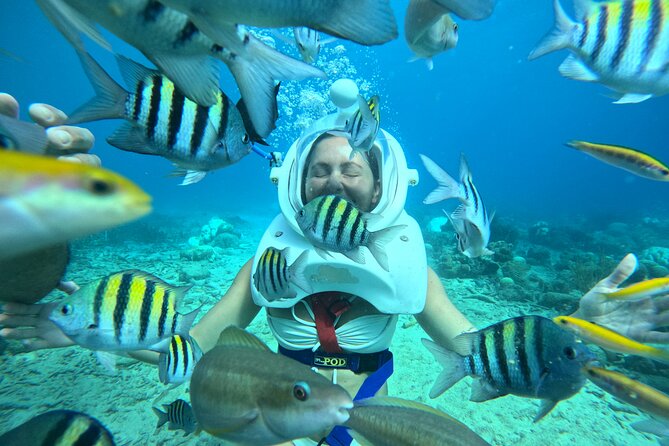 Curacao Helmet Diving-Walk the Ocean Floor, No Swimming Required - The Underwater Walk Itself: Following the Path, Seeing the Sea Life