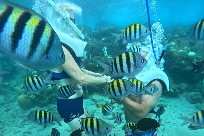 Curacao Helmet Diving-Walk the Ocean Floor, No Swimming Required - The Photo and Video Option: Worth It, With One Practical Heads-Up