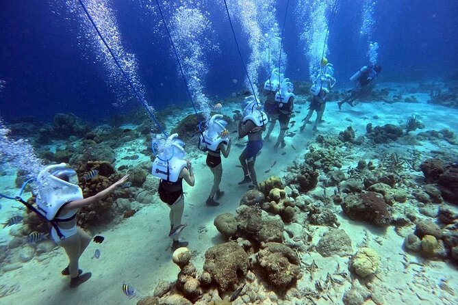 Curacao Sea Trek Snuba Combo Walk Tour and Dive the Ocean - Key highlights you’ll feel fast