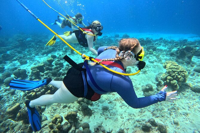 Curacao Sea Trek Snuba Combo Walk Tour and Dive the Ocean - Sea Trek + SNUBA at Marie Pampoen Beach: the setup that matters