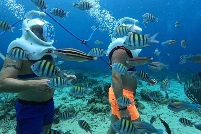 Curacao Sea Trek Snuba Combo Walk Tour and Dive the Ocean - Price value: is $240 per person a fair trade?