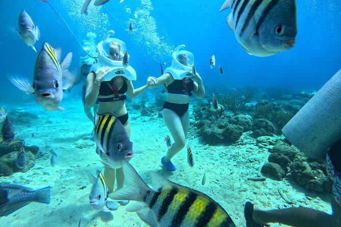 Curacao Sea Trek Snuba Combo Walk Tour and Dive the Ocean - Weather and water conditions: the one thing you can’t control