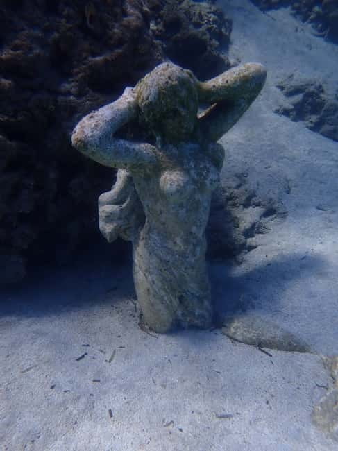 Cyprus: Introductory Scuba Lesson and Dive with Transfer - Key Takeaways Before You Go