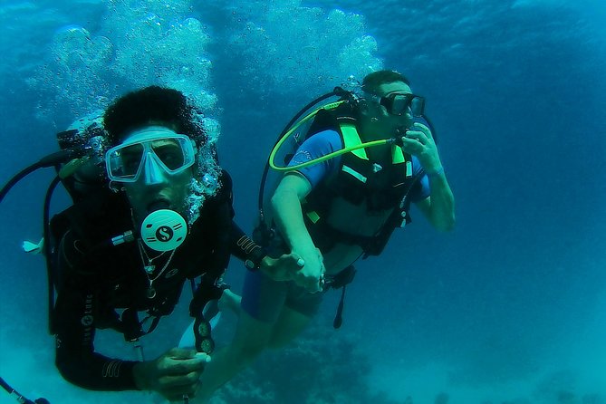 Daily 2 Dives with Equipment from Hurghada - A Red Sea Day Built Around Two Guided Underwater Sessions