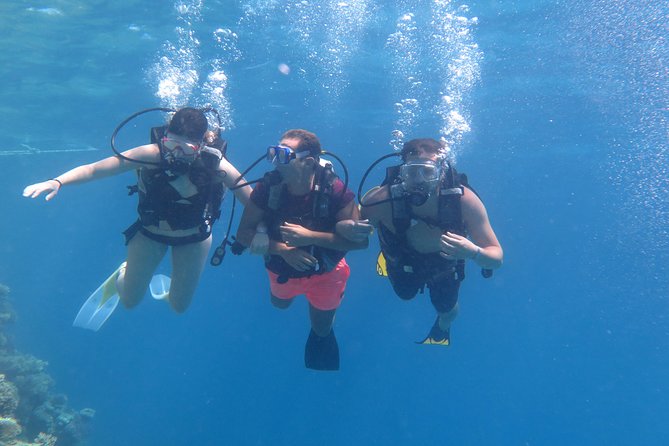 Daily 2 Dives with Equipment from Hurghada - Getting the Most from Underwater Time (Without Stress)