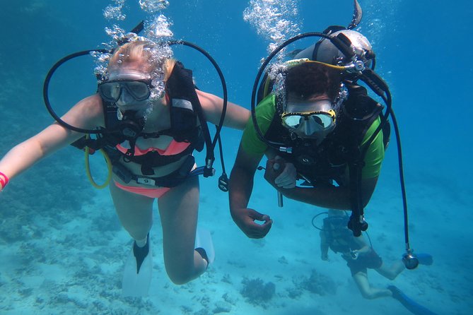 Daily 2 Dives with Equipment from Hurghada - Costs You Should Budget for: Marine Park and Optional Extras