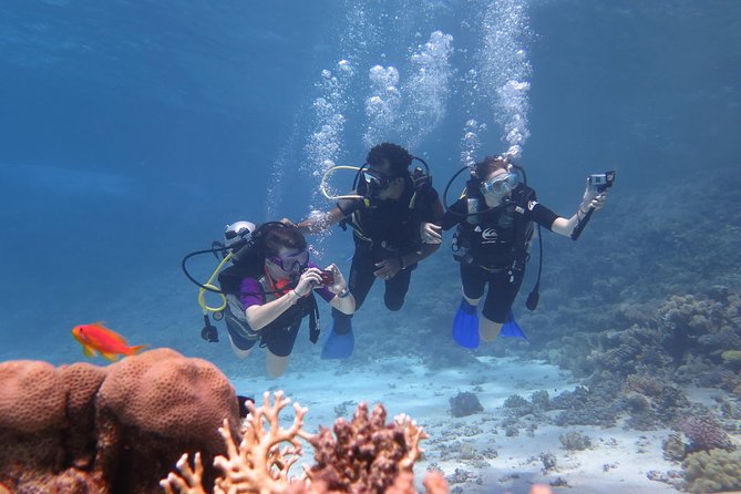 Daily 2 Dives with Equipment from Hurghada - Meeting at 8:00 AM: Where Transfers Can Help or Hurt