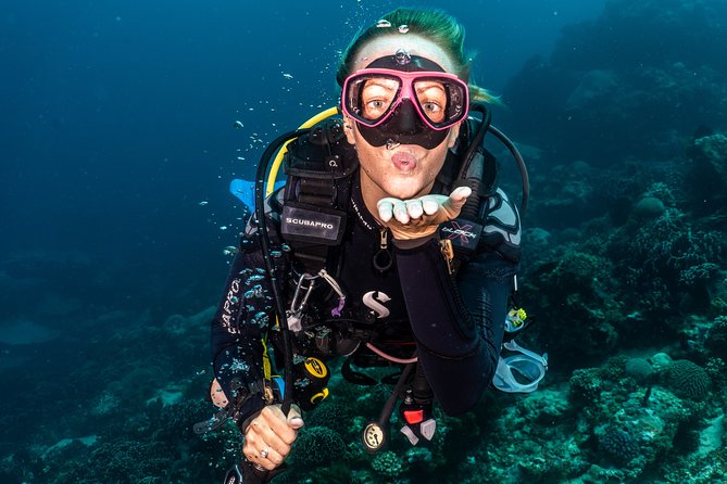 Day Trip certified divers - 3 Dives in Tulamben (pick-up & drop-off included) - Kuta to Tulamben: the logistics that make or break the day