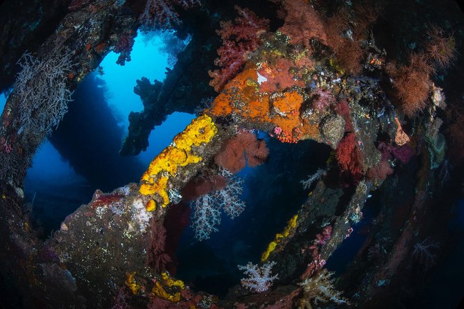 Day Trip certified divers - 3 Dives in Tulamben (pick-up & drop-off included) - Price and value: is $149.80 a fair deal?