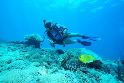 Daytrip to Padangbai Blue Lagoon fun diving or try diving - Price and value: $130, and what you’re actually paying for