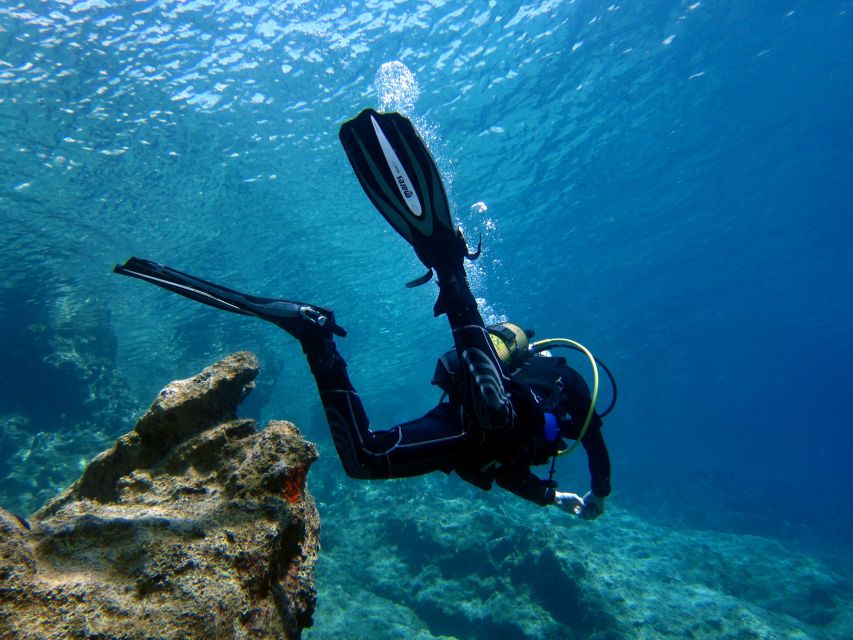 Didim: Scuba Diving Experience w/Hotel Pickup & Lunch - Morning Pickup to Underwater Start: How the Day Flows