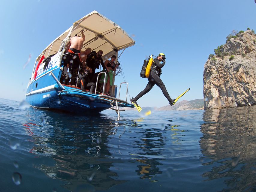 Didim: Scuba Diving Experience w/Hotel Pickup & Lunch - The Port-to-Water Plan: Boat, Pier, or Shore?