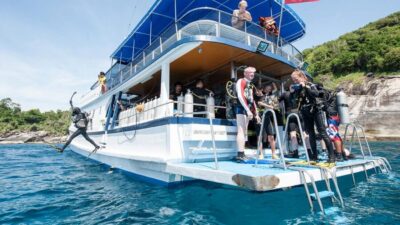 Didim: Scuba Diving Experience w/Hotel Pickup & Lunch - Training With Licensed Instructors: What You Learn Before You Go In