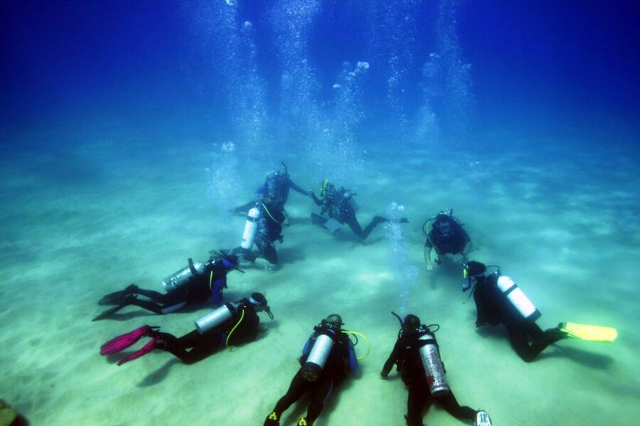 Didim: Scuba Diving Experience w/Hotel Pickup & Lunch - Photos, Videos, and the Extra Cost Surprise