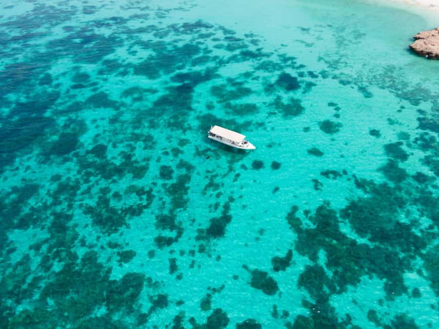 Dimaniyat Islands Scuba Diving Trip - Gear, certification, and rules that keep the day safe