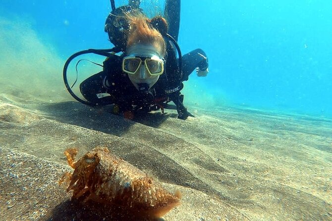 Discover beginner diving in Tenerife - Where You Meet in Abades and How the Group Works